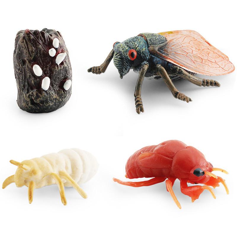 Realistic Mini Insect Set Featuring Grasshopper Bee Spider Life Cycle Models For Learning