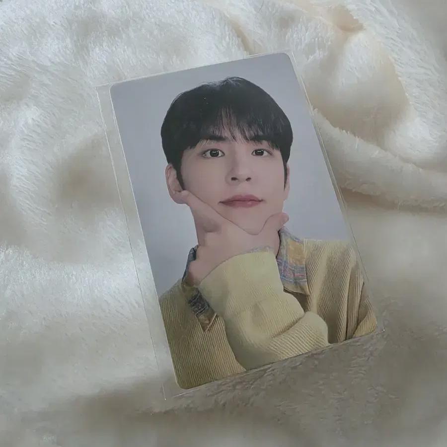 Day6 Japan Photocard Wonpil