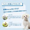 PAWKAMPO (Veterinarian-Supervised Dermatologist) Paw Care Foam / Bitter Taste Prevents Licking / Prevents Interdactylitis / Removes Dirt and Moisturiz