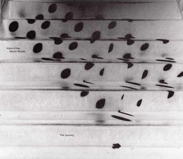 

CD VOICE OF THE SEVEN WOODS - The Journey NONE Not On Label 2007 UK Rock Used