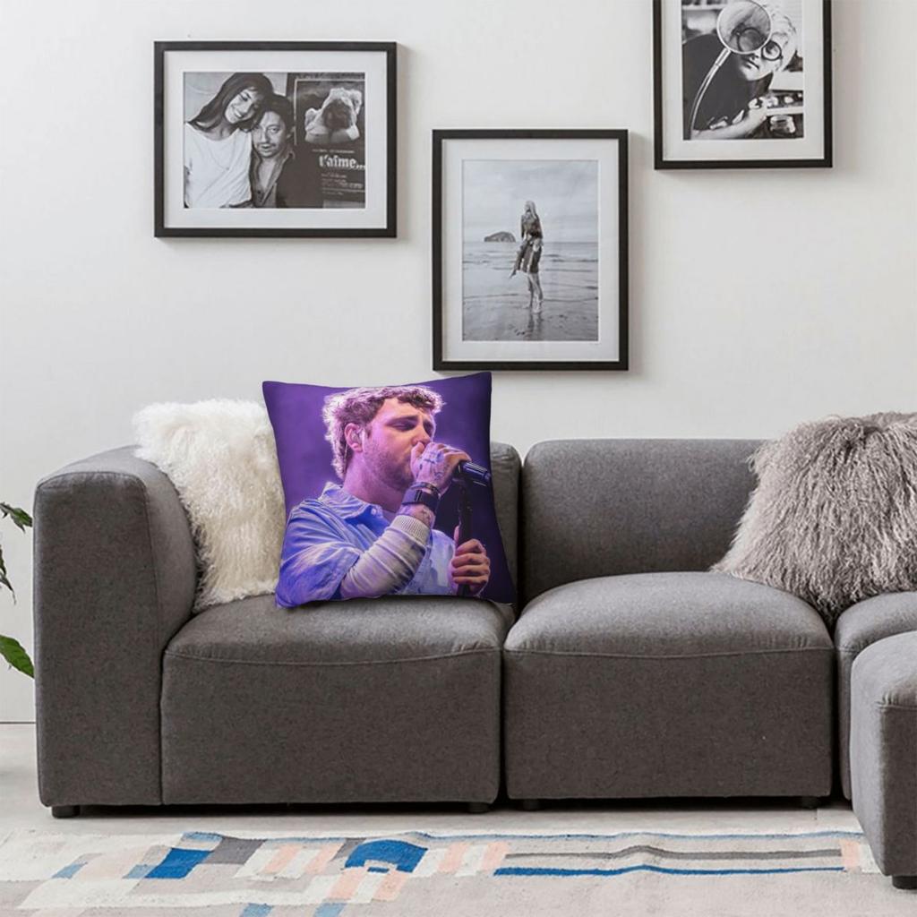 America Alex Warren Singer Pillow Cover Pillow Case Cushion Cover Retro Trendy Custom Diy Pillowcases For Living Room Chair
