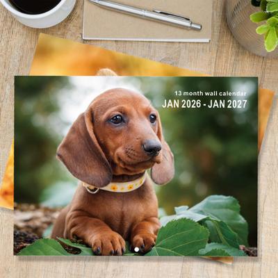 2026 Funny Dog Wall Calendar 12 Month Cute Animal Lovers Decor Spiral Bound Thick Paper Decorative