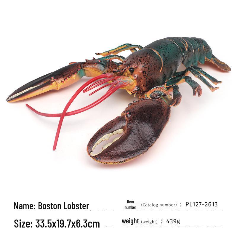 Children s Marine Animal Lobster Decorative Model