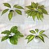 Monstera Deliciosa Faux Plant With 7fork Zebra And Turtles Leaves For Wedding Decor And Wall Art