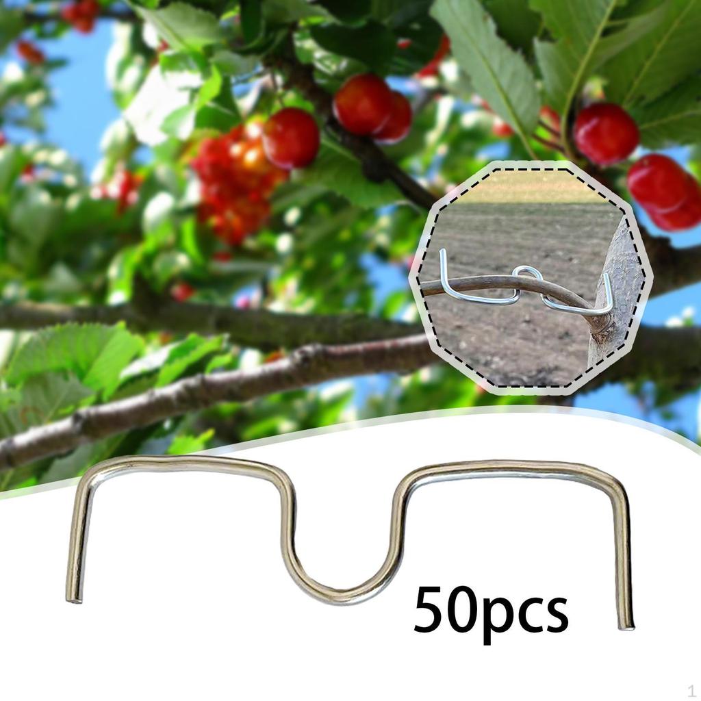 50 Pieces Fruit Tree Branch Puller Bending Tools Shaping Trees Limb Branches