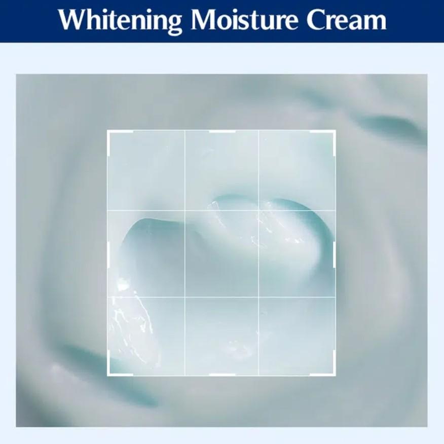 [NACIFIC] Whitening Moisture Essence (30ml) / Phyto Niacin Whitening Moisture Cream (50ml)