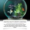 Advanced Formula Aquariums Water Cleaner Aquariums Water Purification Tablets for Fish Lover