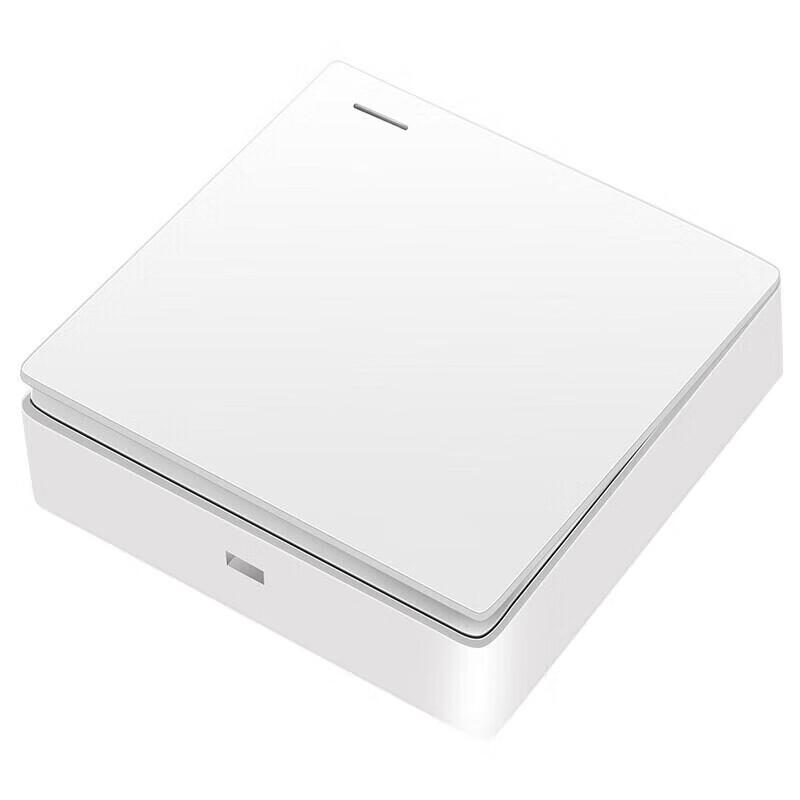 Renmin Surface Mount Single Light Switch Panel