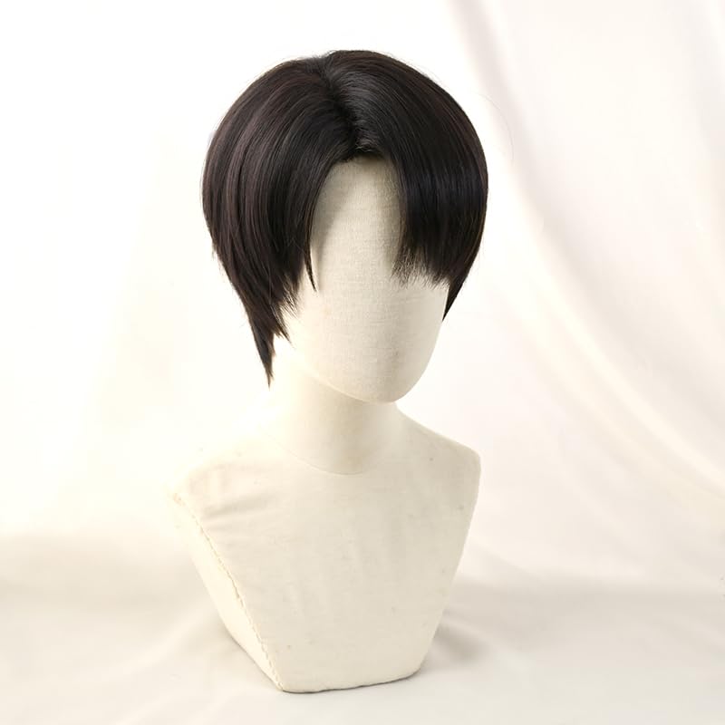 SUNXXCOS Attack on Titan Cosplay Wig, Heat-Resistant Wig, Costume Accessory (Levi Wig)