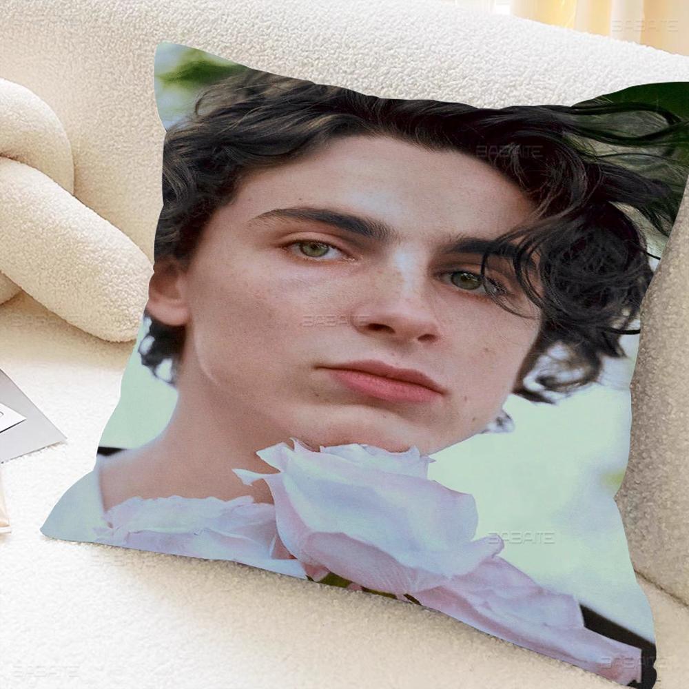 T-timothee C-chalamet Cushion Cover Pillowcase Upholstery Sofa Throw Pillow Home Decor Pillowcas