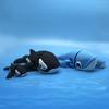 Doll 3D Printed Whale Mini Marine Organisms Desktop Ornament  Aquarium Gift