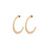 Hammered Hoops(Silver Post)