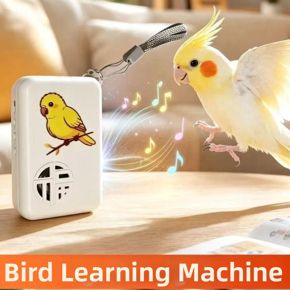 Interactive Bird Talking Trainer Auto Cycle Speech Training Machine Education Purpose