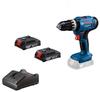 Аккумуляторный ударный шуруповёрт Bosch GSB 18V-25 ProfessionalGSB 18V 25 With 2x2.0Ah Batteries And Charger (06019K9308)
