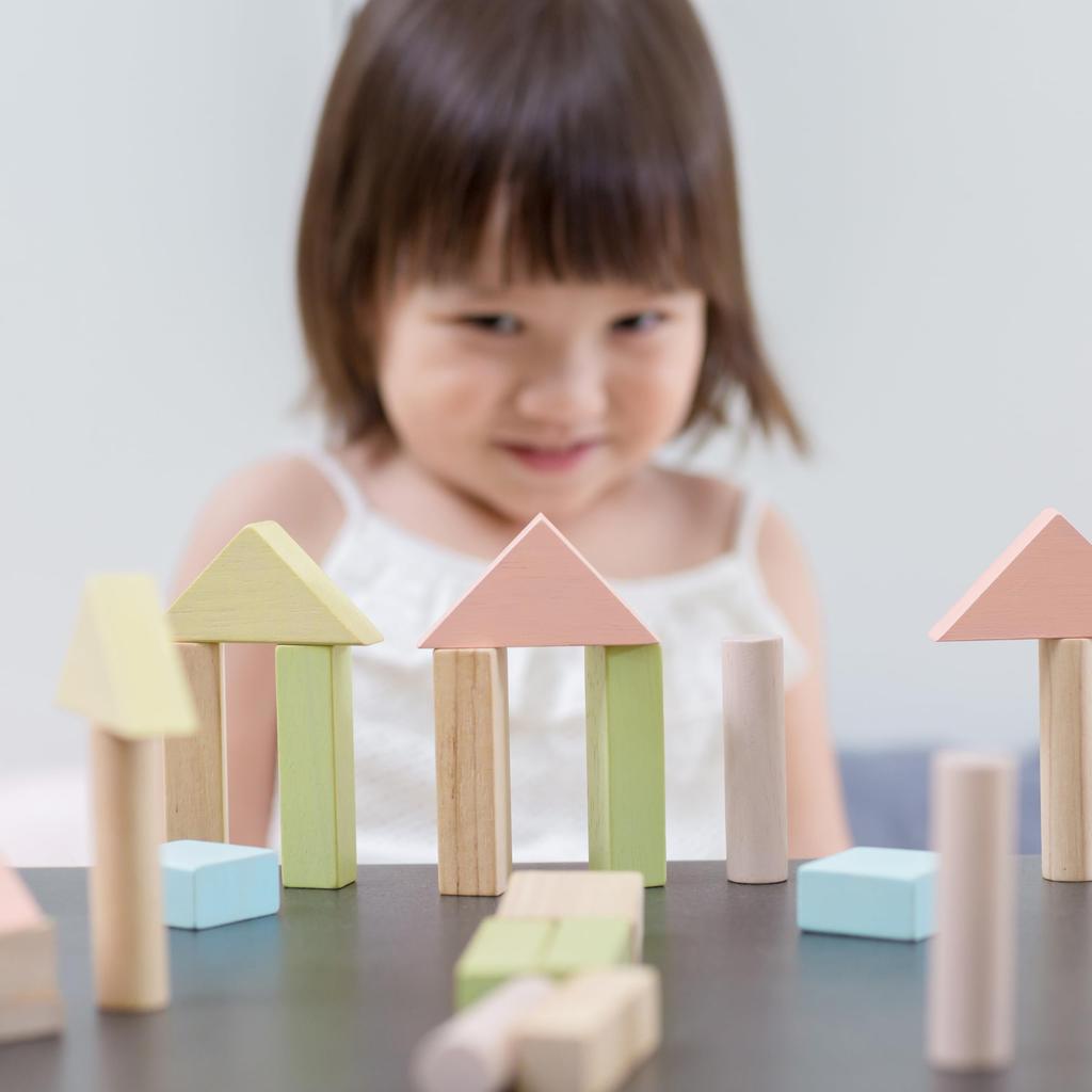 PlanToys Einheitenbausteine 40 Pastell 5507