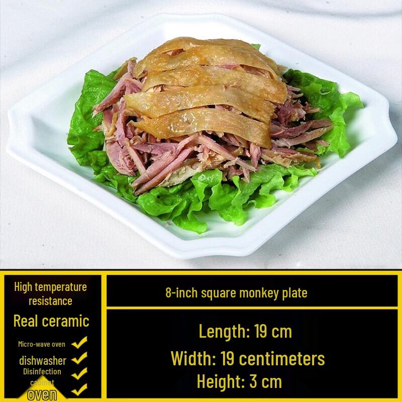 Shengxinhui Pure White Commercial Ceramic Dinner Plates (5-Pack)