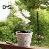 Vaso transparente para orquídeas, vaso de flores reutilizável para orquídeas com furos, plantador ventilado de plástico para replantio, cultivo de orquídeas em ambientes internos e externos