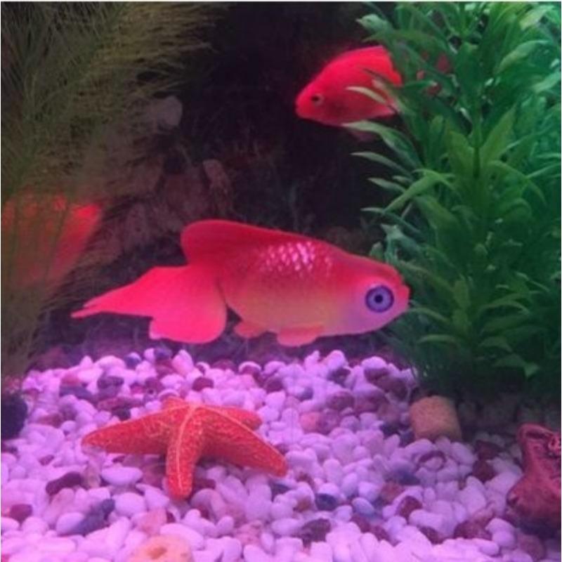 1PC Artificial Aquarium Decoration Glowing Effect Goldfish Fish Tank Ornament Decor