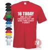 16 Today and All I Got Was This Lousy T-shirt Funny Celebration Birthday Present