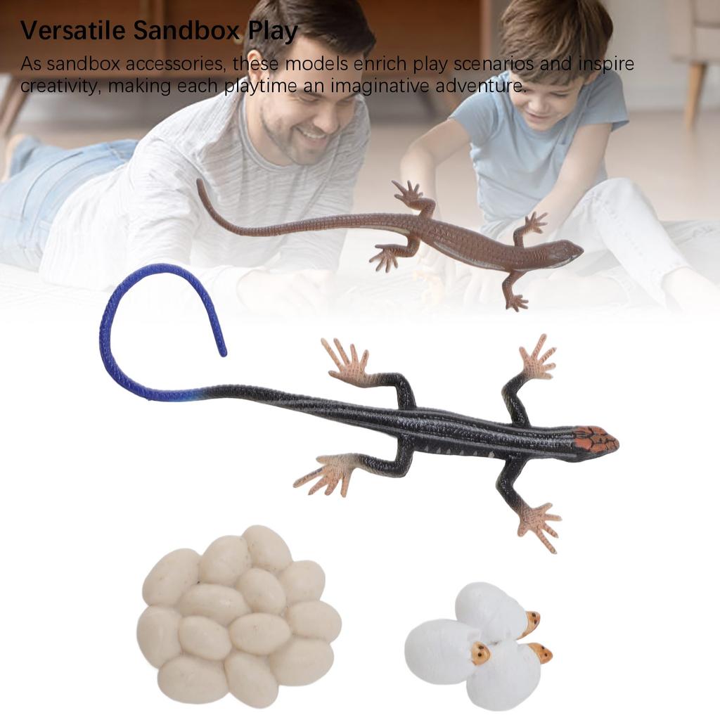 Skink Life Cycle Toy Figurines PVC High Simulation Animal Life Cycle Toy Sandbox Accessories