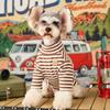 Pet Dog Cat Two-Legged Cotton T-Shirt Winter Striped Base Layer Schnauzer Teddy Poodle Shiba Inu Bichon