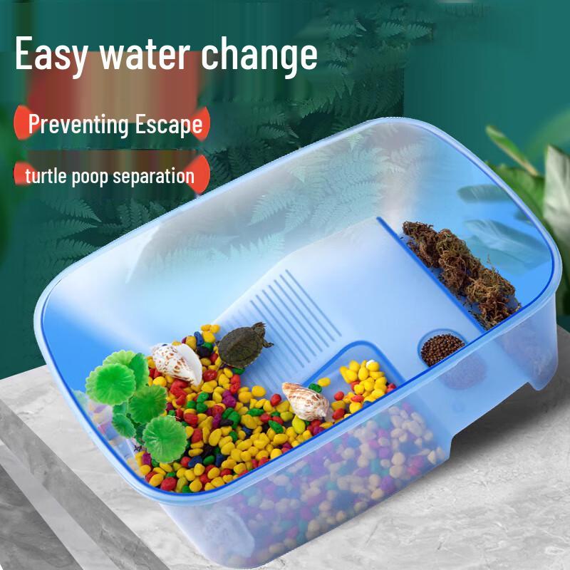 

Turtle Tank with Basking Platform