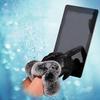 1 Paar Damenmode Plüsch Winter Warm PU Leder Handschuhe Fell Touchscreen Handschuhe