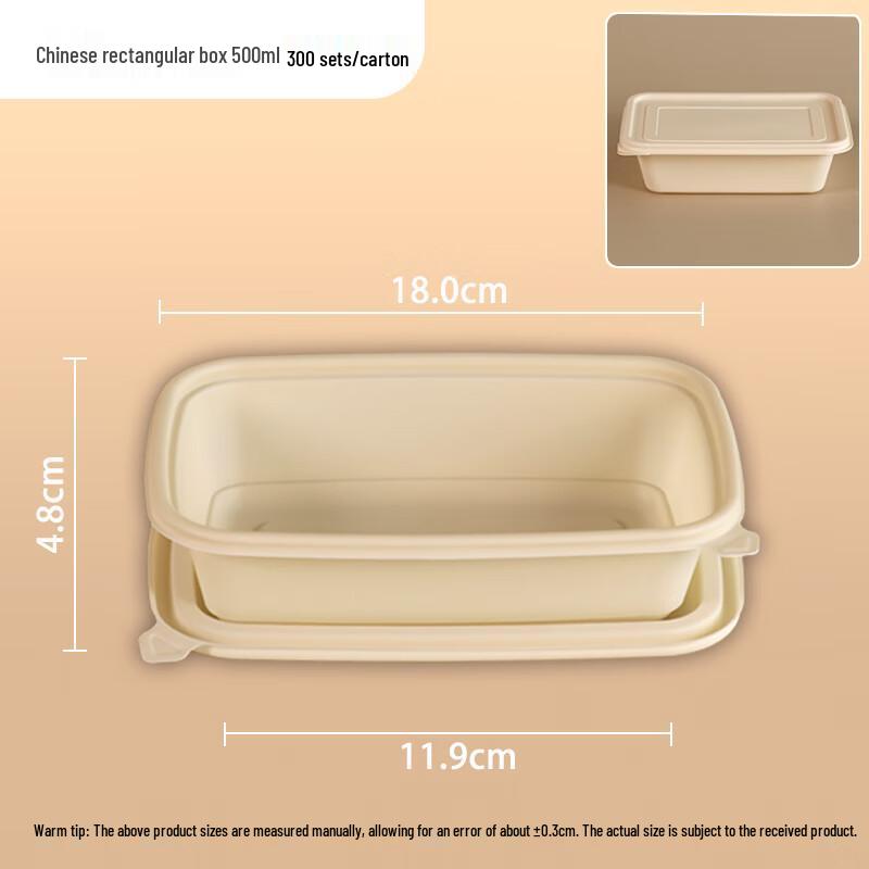 Biodegradable Rectangular Takeout Food Containers with Lids
