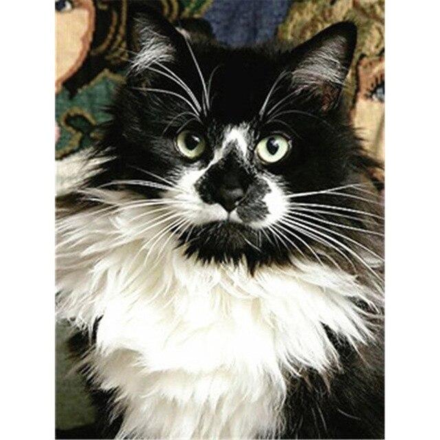 DIY 5D Diamond Painting Cat Diamond Embroidery Cross Stitch Full Round/Square Animals Picture of Rhinestone Mosaic Wall Decor