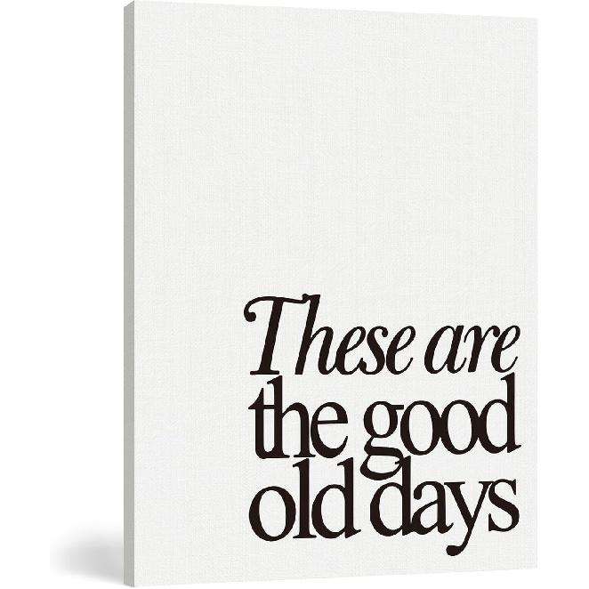 FISWAFY Funny Home Office Wall Art, Turns Out These are My Monkeys and This is My Circus Canvas Wall Art Prints, Funny Posters Wall Decor for Home Good old days