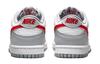 Nike Dunk Low GS 'Grey Red' DV7149-001
