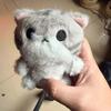 Soft Plush Doll Key Ring PP Cotton Cute Pet Pendant Mini Grey Cat Key Chain  Festival Gifts