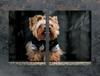PIATTO PROTETTIVO IN VETRO 75x52 CANE