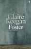 Foster by Claire Keegan Hardback Book 9780571392599