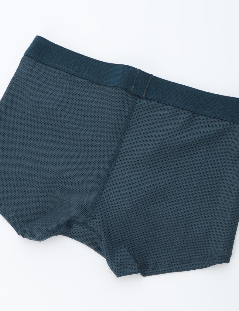 Boyleg Mesh Shorts DEEP SEA M [Goldwin]