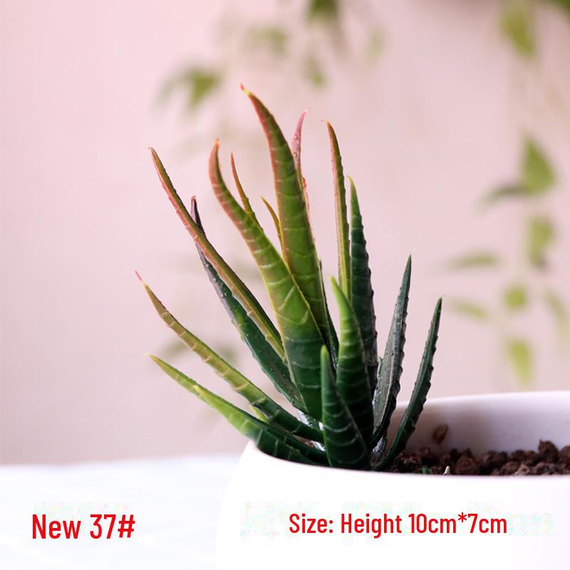 Realistic Fake Succulent Plants for Indoor & Outdoor Wall Decor