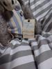 [USED] Overseas Teddy Bear (Donkey)