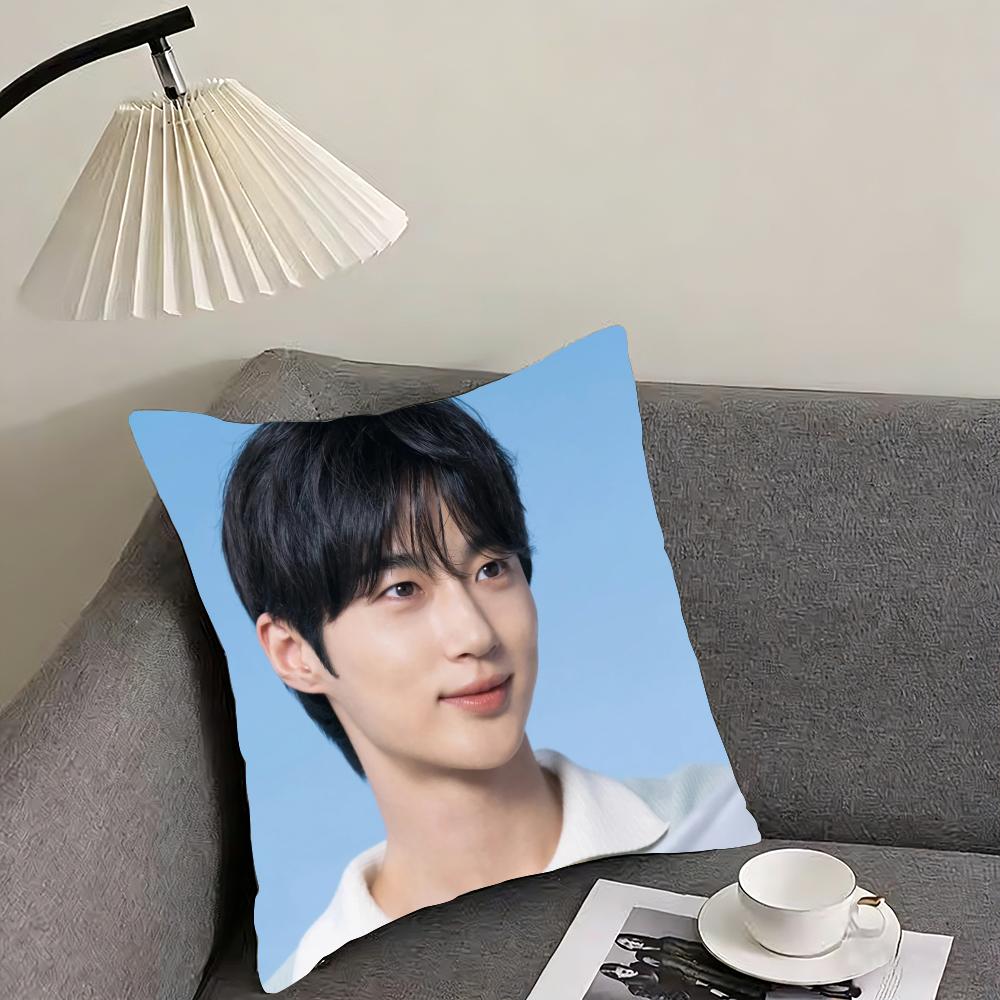 Byeon Woo-seok Cushion Cover Reversible Plush Pillow Cover – For car, sofa, bedroom, perfect as a gift.