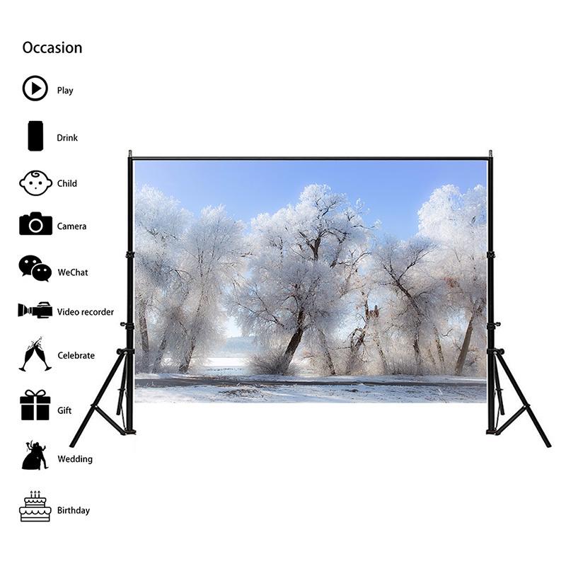 Winter Theme Snow Scene Background Nature Landscape Sky Snowflake Christmas Portrait Prop Party Decoration Banner
