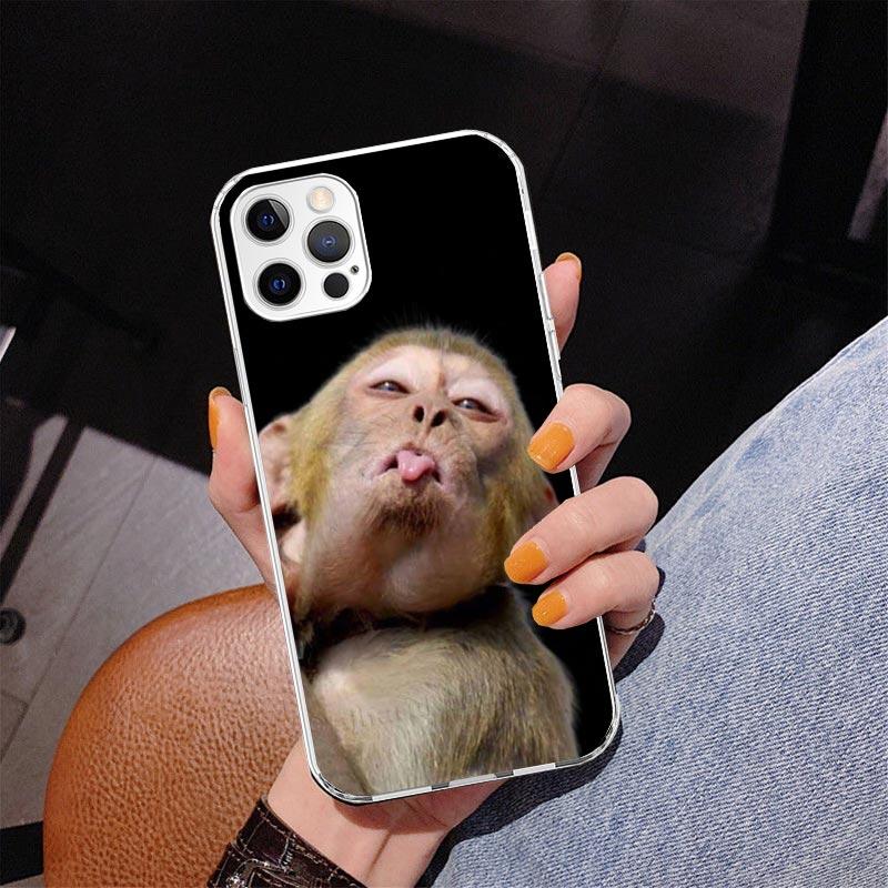 Monkey Memes Phnoe Case for Iphone 17 Air 16 16E 11 12 13 Mini 14 Plus 15 Pro Max 7 8 + SE 2020 Phone Cover Coque