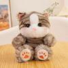 Cat Plush Toy With Scented Filling For Kids And Collectors