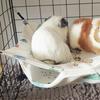 Summer Cooling Hamster Hanging Beds Breathable Squirrel Sleeping Bag  Sugar Glider Squirrel Ferret