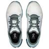 (WMNS) On Running Cloudflow 5 'Arctic Stone' Women's 3WF10093306