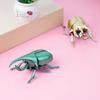 3Pcs Educational Wind-Up Unicorn Beetle Toy For Kids Boy Baby Crawling Insect Toy For Enlightenment Simulation And Fun Gifts