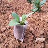 100Pcs Seedling Plants Nursery Bags Organic Biodegradable Grow Bags Eco Friendly
