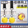Elangyan Pull-Up Training Ball Set