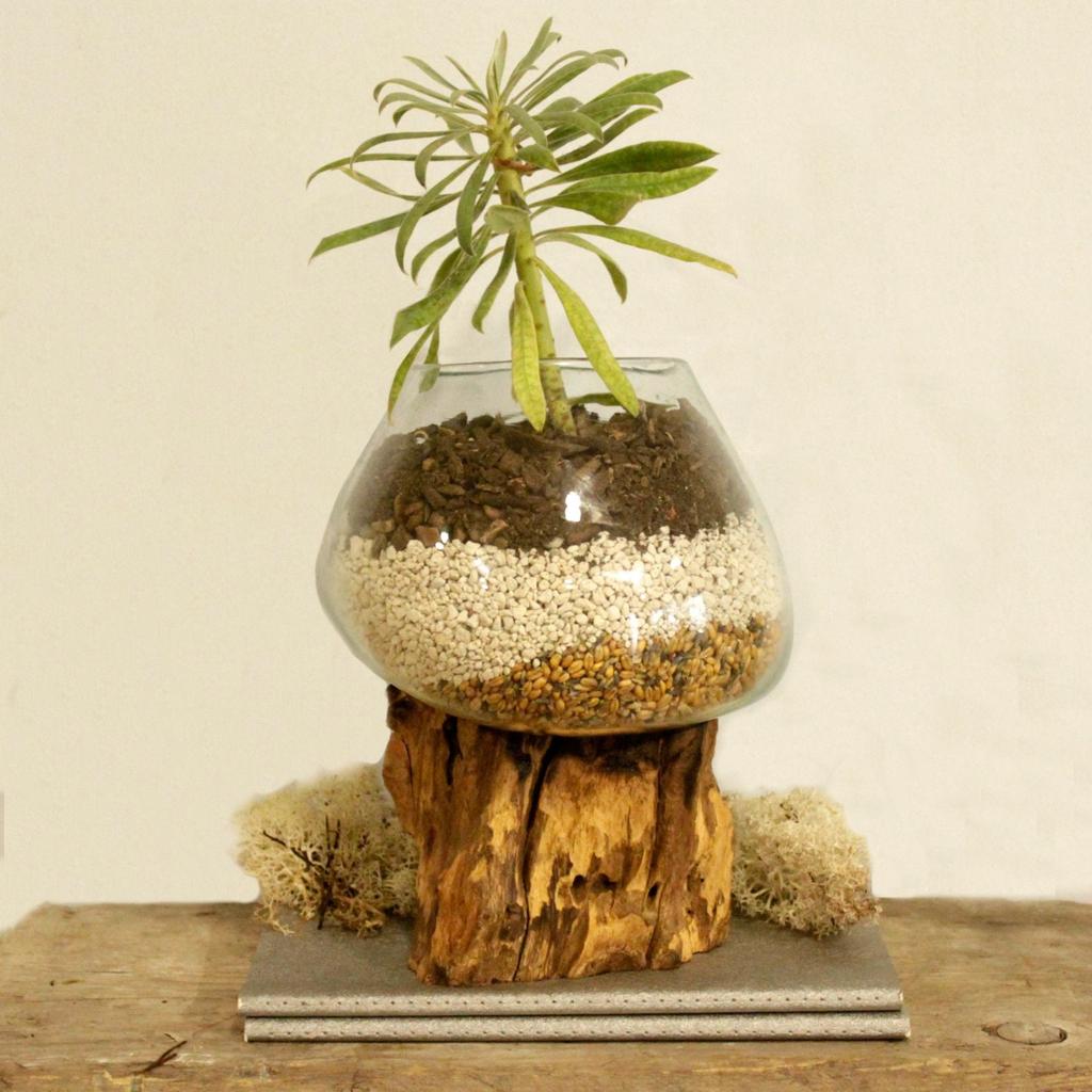 Melted Glass Bowl On Wood Stand