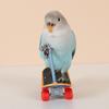 Vogel Papagei Spielzeug Skateboards Kunststoff Reptilien Unterhaltung Trainingswerkzeug Acc Vogelzubehör Rollschuhe