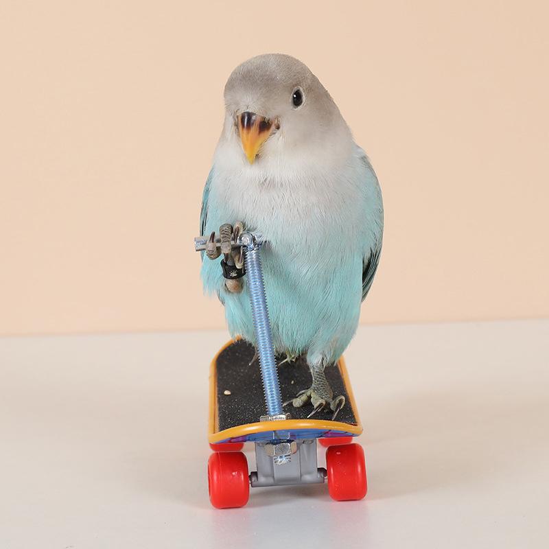 Vogel Papagei Spielzeug Skateboards Kunststoff Reptilien Unterhaltung Trainingswerkzeug Acc Vogelzubehör Rollschuhe