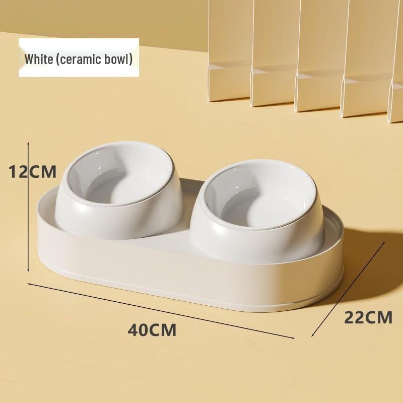 Slanted Anti-Tip Double Pet Feeding Bowl